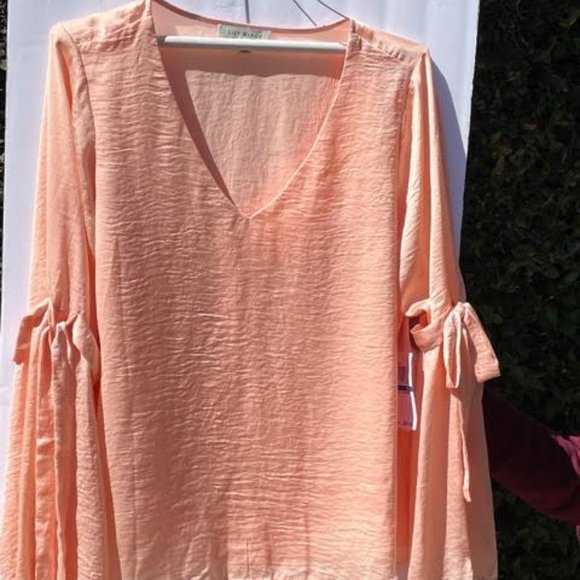 Chiffon Pink Blouse - Picture 2 of 14